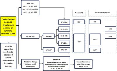 Device therapies for heart failure with reduced ejection fraction: a new era